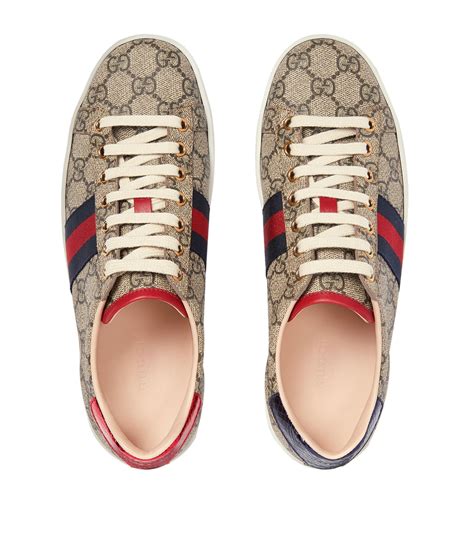 gucci sneakers costo|Gucci tekkies price.